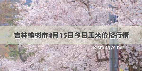 吉林榆树市4月15日今日玉米价格行情