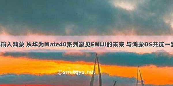 华为向emui输入鸿蒙 从华为Mate40系列窥见EMUI的未来 与鸿蒙OS共筑一致用户体验...