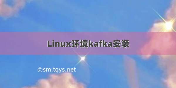 Linux环境kafka安装