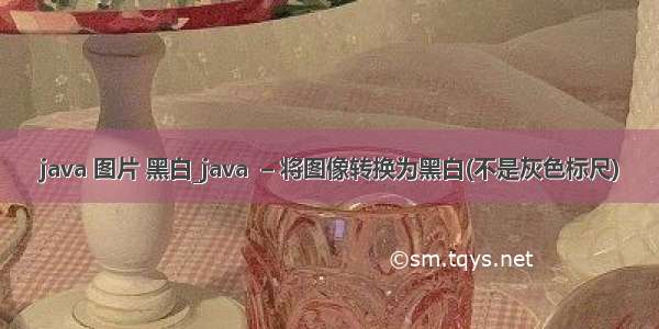 java 图片 黑白_java  – 将图像转换为黑白(不是灰色标尺)