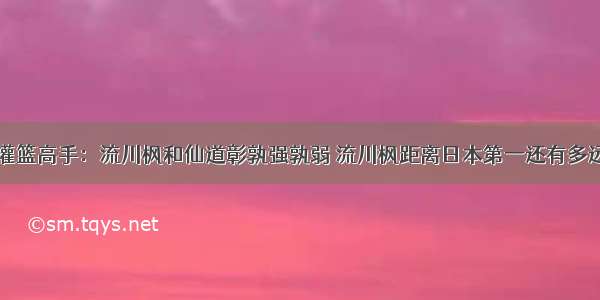 灌篮高手：流川枫和仙道彰孰强孰弱 流川枫距离日本第一还有多远