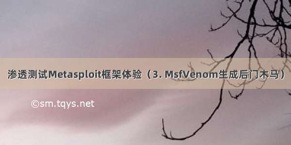 渗透测试Metasploit框架体验（3. MsfVenom生成后门木马）