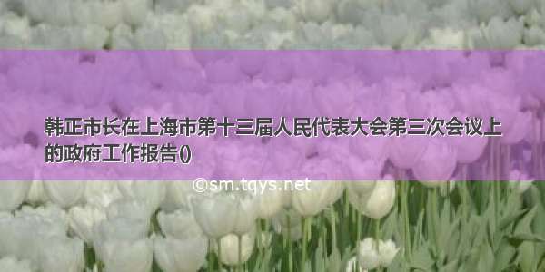 韩正市长在上海市第十三届人民代表大会第三次会议上
的政府工作报告()