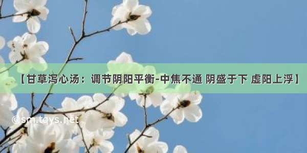 【甘草泻心汤：调节阴阳平衡-中焦不通 阴盛于下 虚阳上浮】