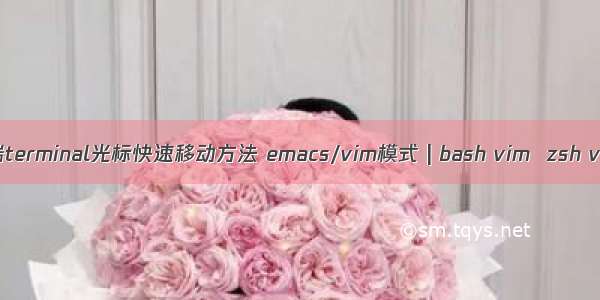 Mac终端terminal光标快速移动方法 emacs/vim模式 | bash vim  zsh vim模式