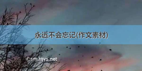 永远不会忘记(作文素材)