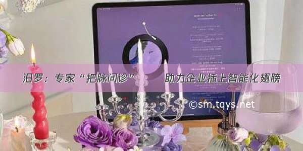 汨罗：专家“把脉问诊”   助力企业插上智能化翅膀