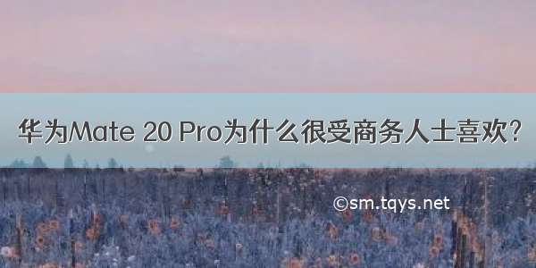 华为Mate 20 Pro为什么很受商务人士喜欢？