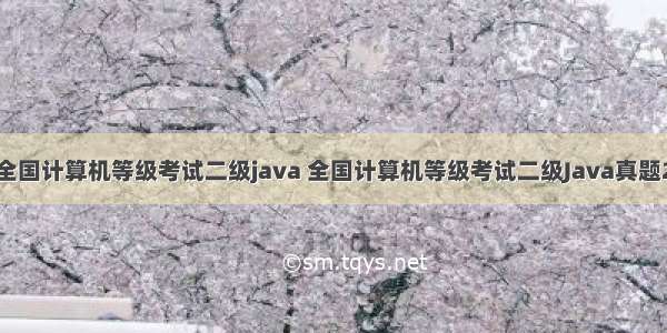 全国计算机等级考试二级java 全国计算机等级考试二级Java真题2