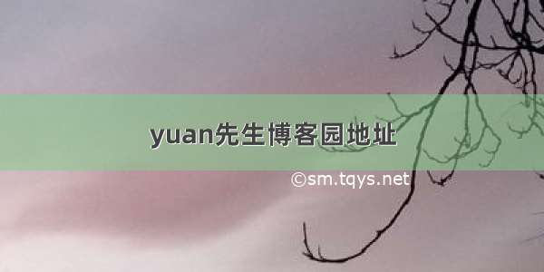 yuan先生博客园地址