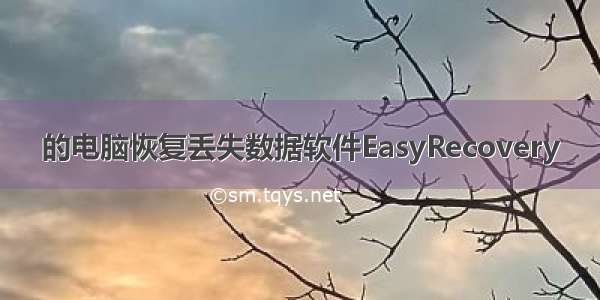 的电脑恢复丢失数据软件EasyRecovery