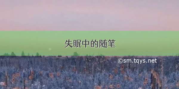 失眠中的随笔