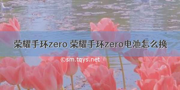 荣耀手环zero 荣耀手环zero电池怎么换