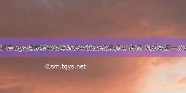 &lt;中国好声音&gt;独家冠名权被加多宝以2.5亿元标得 据悉 加多宝第一次拿下好声音