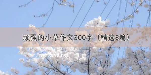 顽强的小草作文300字（精选3篇）