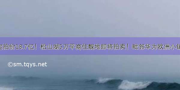 起拍价18.7亿！松山湖5万平商住靓地即将拍卖！毗邻华为欧洲小镇！