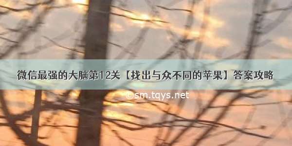 微信最强的大脑第12关【找出与众不同的苹果】答案攻略